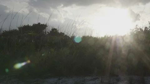 Epic Lens Flare Through Beach Front Grass Stock Footage 104457727