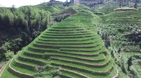 EPIC LOW ALTITUDE FLY UP MOUNTAIN FOLLOWING RICE TERRACE FIELDS IN LONGJI CHINA Stock Footage 65237544