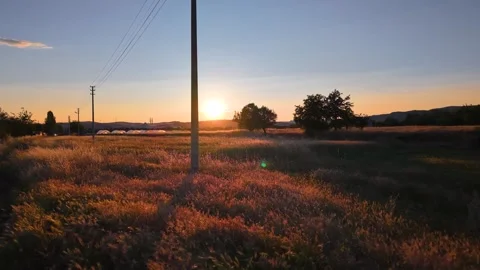 Epic Low Flight Over Golden Wheat Field at Sunset Stock Footage 340490806