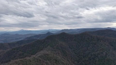 Epic Moody Drone Shot of Endless Scary Autumn Forest Under Dark Sky, 4K Vídeos de archivo 335080376