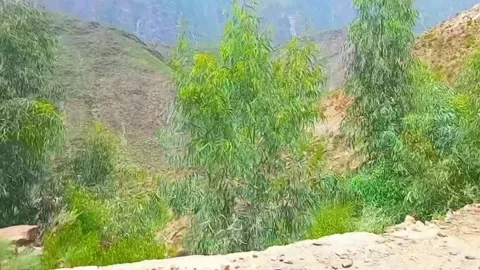 Epic Mountain Road Trip with Scenic Drives and Breathtaking Nature Views Stock Footage 313574875
