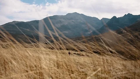 Epic Mountain View Hiking through the Tall Golden Grass 動画素材 85743387
