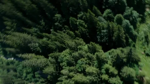 Epic Mountains Landscape Video stock 213896642