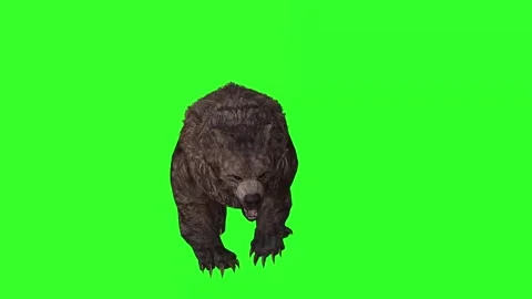 "Epic Mythical Bear Walking and Running - 4K Green Screen Fantasy Footage" Stock Footage 282543847