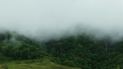 Epic Nature timelapse background. High Humidity In Rainforest with waterfall Stock Footage 76915615