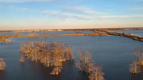 Epic overhead shot of the deep bayou with trees and lake Stock Footage 101304749