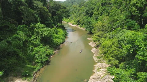 Epic Pull-Away from Longboat to Rainforest, Taman Negara, Malaysia 库存影片 342782416
