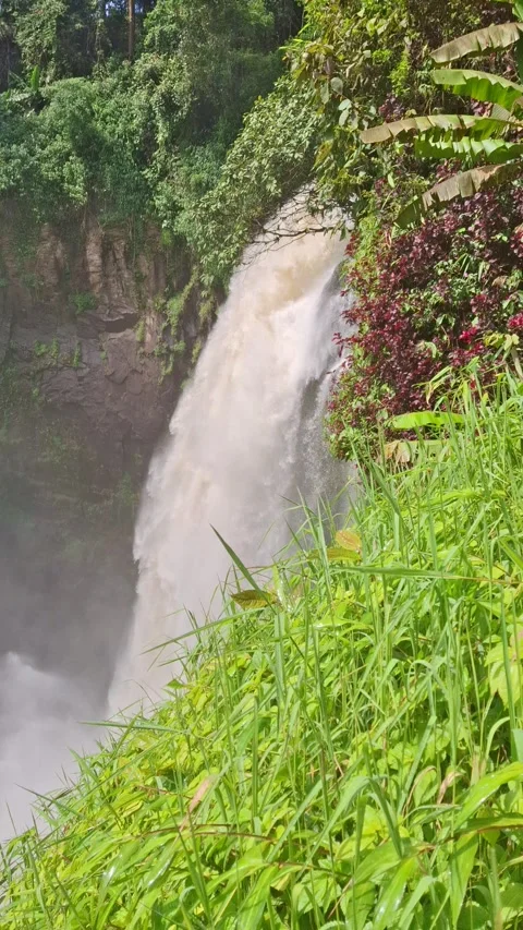 An epic shot of beautiful waterfall in the forest of Sumatera Island Stock Footage 278161901