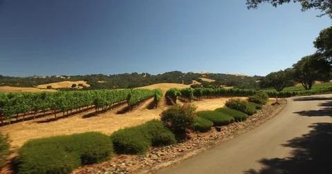 Epic Sonoma county vineyard in wine country california travel tourism video Stock Footage 78010666