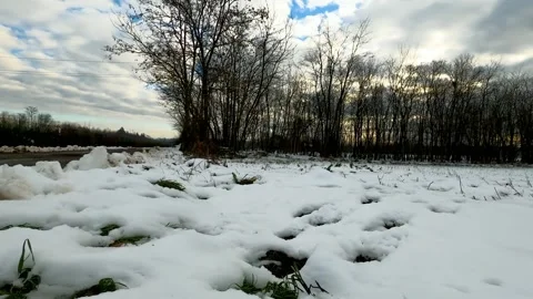 Epic Space Nebula Motion Background | Cosmic Wonders in Stunning Detail Stock-Footage 296899841