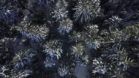 Epic Space Nebula Motion Background | Cosmic Wonders in Stunning Detail Video stock 296899887