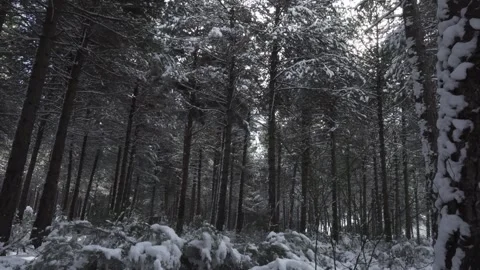Epic Space Nebula Motion Background | Cosmic Wonders in Stunning Detail Stock Footage 296900392
