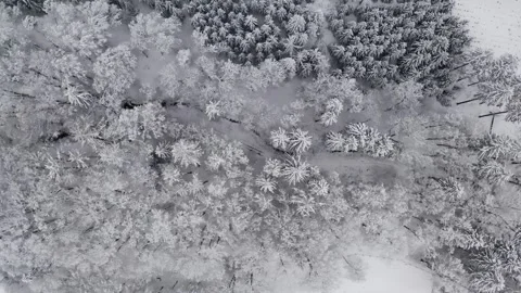 Epic Space Nebula Motion Background | Cosmic Wonders in Stunning Detail Stock Footage 296900598