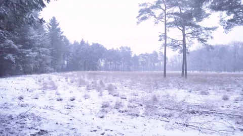 Epic Space Nebula Motion Background | Cosmic Wonders in Stunning Detail Stock Footage 296901583