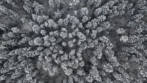 Epic Space Nebula Motion Background | Cosmic Wonders in Stunning Detail Stock Footage 296903498