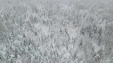 Epic Space Nebula Motion Background | Cosmic Wonders in Stunning Detail Stock Footage 296903899