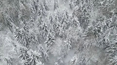 Epic Space Nebula Motion Background | Cosmic Wonders in Stunning Detail Stock Footage 296903994