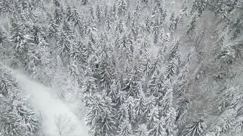 Epic Space Nebula Motion Background | Cosmic Wonders in Stunning Detail Stock Footage 296904029