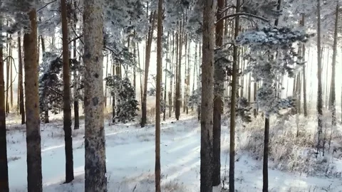 Epic Space Nebula Motion Background | Cosmic Wonders in Stunning Detail Stock Footage 296905520