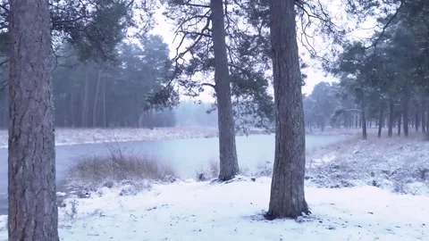 Epic Space Nebula Motion Background | Cosmic Wonders in Stunning Detail Stock Footage 296905886