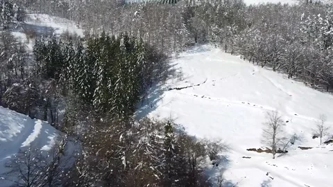 Epic Space Nebula Motion Background | Cosmic Wonders in Stunning Detail Stock Footage 296906461