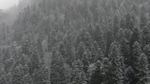 Epic Space Nebula Motion Background | Cosmic Wonders in Stunning Detail Stock Footage 296906621