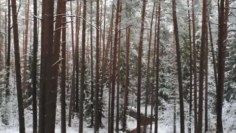 Epic Space Nebula Motion Background | Cosmic Wonders in Stunning Detail Stock Footage 296909314