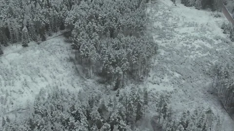 Epic Space Nebula Motion Background | Cosmic Wonders in Stunning Detail Stock Footage 296909950