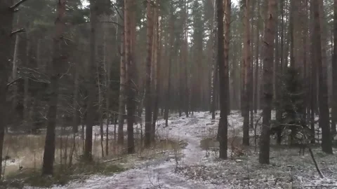 Epic Space Nebula Motion Background | Cosmic Wonders in Stunning Detail Stock Footage 296910208