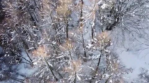 Epic Space Nebula Motion Background | Cosmic Wonders in Stunning Detail Stock Footage 296910254