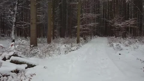 Epic Space Nebula Motion Background | Cosmic Wonders in Stunning Detail Stock Footage 296910399