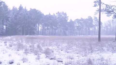 Epic Space Nebula Motion Background | Cosmic Wonders in Stunning Detail Stock Footage 296910471