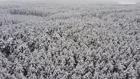 Epic Space Nebula Motion Background | Cosmic Wonders in Stunning Detail Stock Footage 296911349