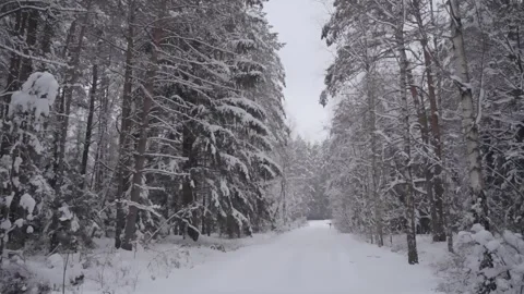 Epic Space Nebula Motion Background | Cosmic Wonders in Stunning Detail Stock Footage 296911631
