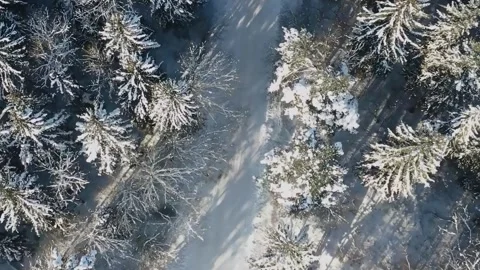 Epic Space Nebula Motion Background | Cosmic Wonders in Stunning Detail Stock Footage 296912334