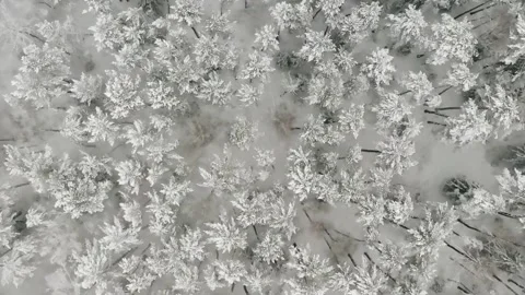 Epic Space Nebula Motion Background | Cosmic Wonders in Stunning Detail Stock Footage 296912656