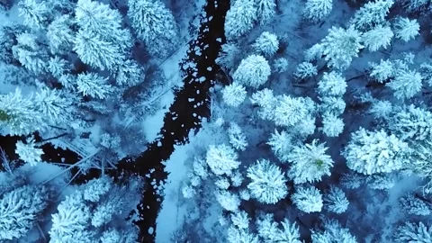 Epic Space Nebula Motion Background | Cosmic Wonders in Stunning Detail Stock Footage 296914483