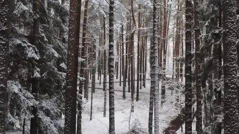 Epic Space Nebula Motion Background | Cosmic Wonders in Stunning Detail Stock Footage 296915679