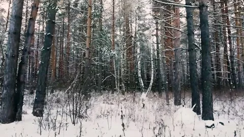 Epic Space Nebula Motion Background | Cosmic Wonders in Stunning Detail Stock Footage 296917368