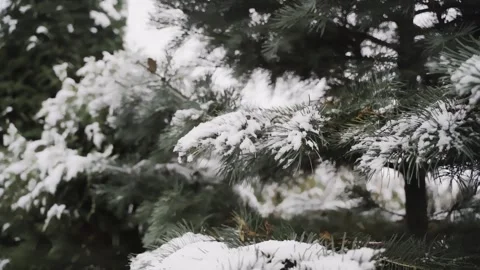 Epic Space Nebula Motion Background | Cosmic Wonders in Stunning Detail Stock Footage 296917424