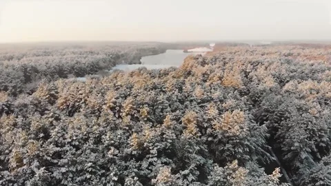 Epic Space Nebula Motion Background | Cosmic Wonders in Stunning Detail Stock Footage 296917626