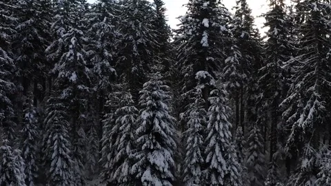 Epic Space Nebula Motion Background | Cosmic Wonders in Stunning Detail Stock Footage 296917736