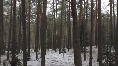 Epic Space Nebula Motion Background | Cosmic Wonders in Stunning Detail Stock Footage 296917796