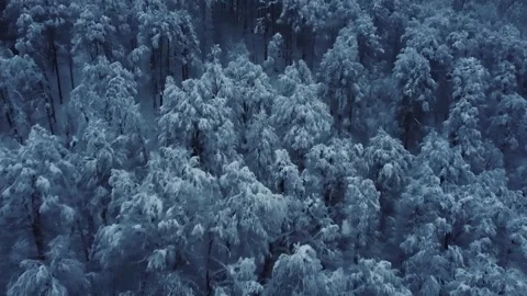 Epic Space Nebula Motion Background | Cosmic Wonders in Stunning Detail Stock Footage 296918082