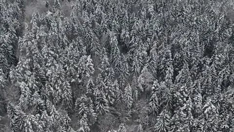 Epic Space Nebula Motion Background | Cosmic Wonders in Stunning Detail Stock Footage 296918093