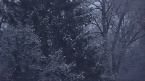 Epic Space Nebula Motion Background | Cosmic Wonders in Stunning Detail Stock Footage 296918094