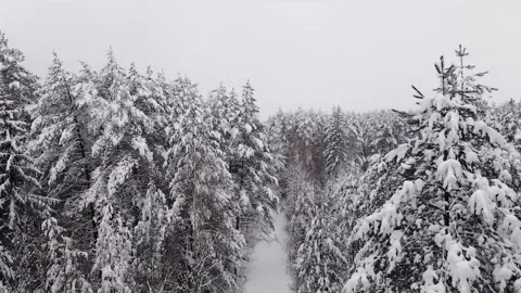 Epic Space Nebula Motion Background | Cosmic Wonders in Stunning Detail Stock Footage 296918178