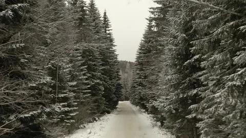 Epic Space Nebula Motion Background | Cosmic Wonders in Stunning Detail Stock Footage 296918584