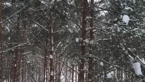 Epic Space Nebula Motion Background | Cosmic Wonders in Stunning Detail Stock Footage 296918681