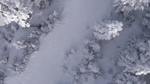 Epic Space Nebula Motion Background | Cosmic Wonders in Stunning Detail Stock Footage 296918724